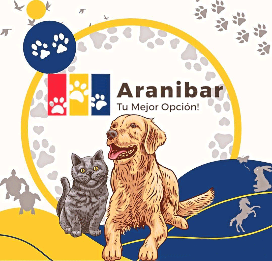 Distribuidora Aranibar